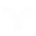 Divided Path