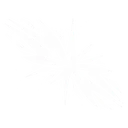 Twin Sparks