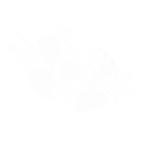 Split Core
