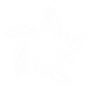 Whirling Fragments