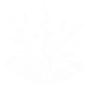 Radiant Crack