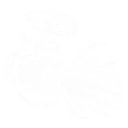 Overflow Valve