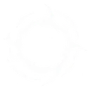 Dark Disc