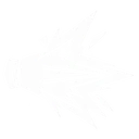 Jagged Flash