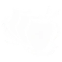 Layered Plates