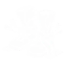 Anchored Boots