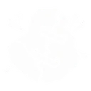 Mended Fracture