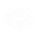 Segmented Shell