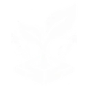 Rising Sapling