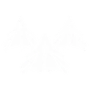 V Formation