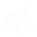 Cracked Pavement