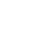 Hollow Point
