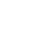 Seraphim Wings